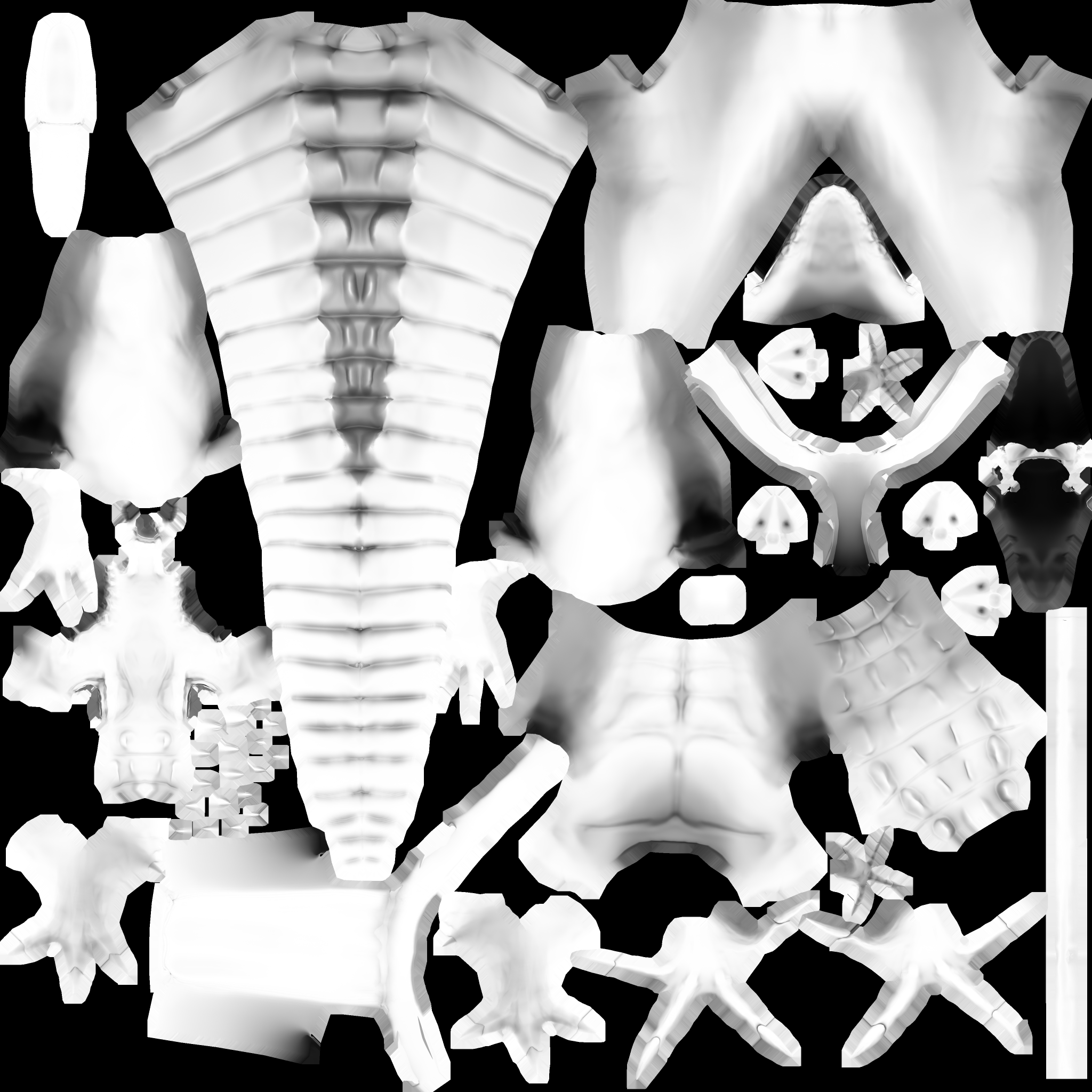 Crocodile ambient occlusion map